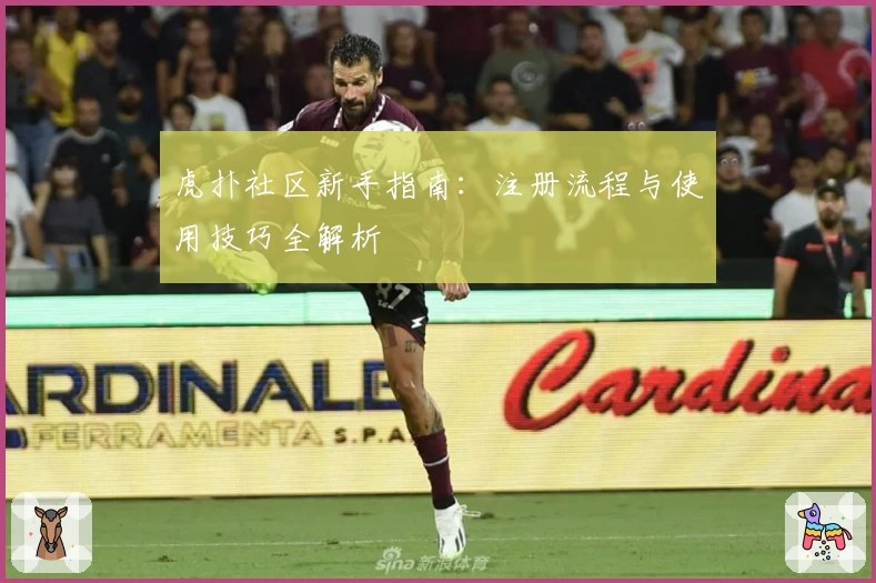 虎扑社区新手指南：注册流程与使用技巧全解析