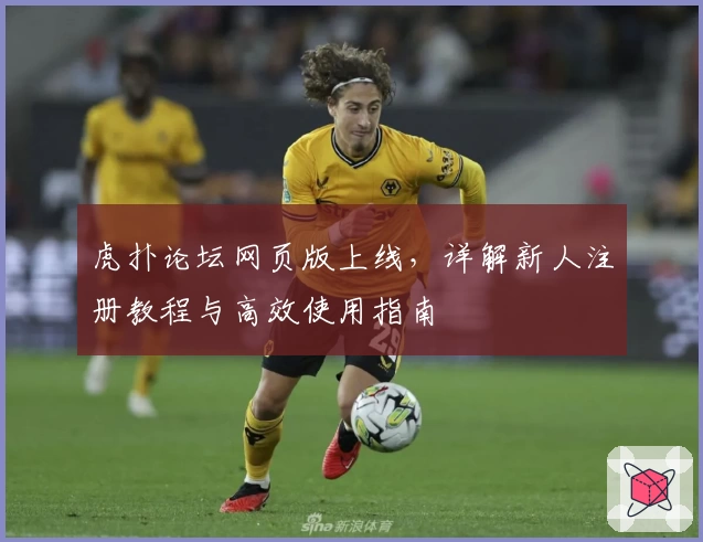 虎扑论坛网页版上线,详解新人注册教程与高效使用指南