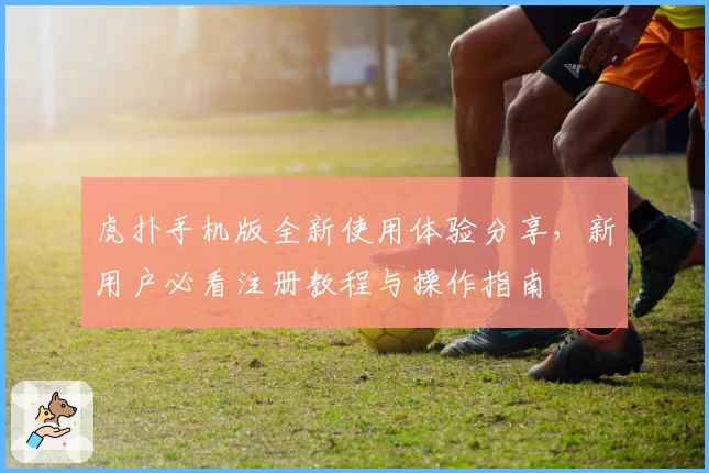虎扑手机版全新使用体验分享，新用户必看注册教程与操作指南
